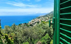 Il sogno del capitano